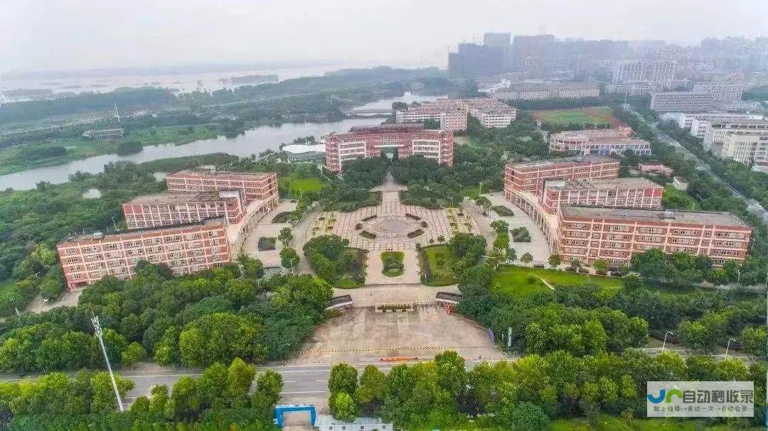 芜湖专业网站设计公司——打造引流您的品牌形象